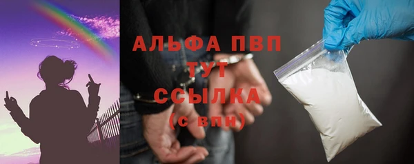 гидра Краснослободск