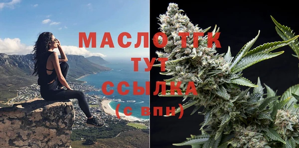 гидра Краснослободск