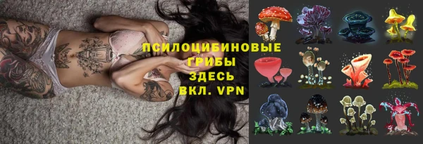 гидра Краснослободск
