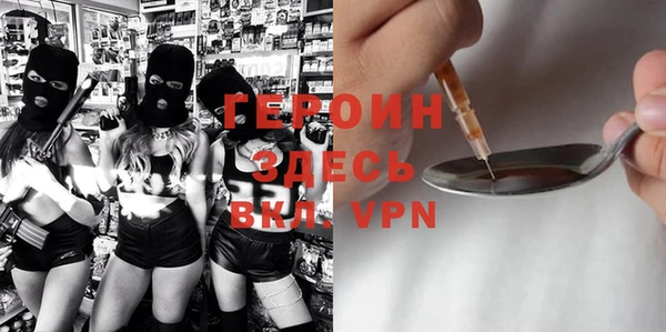 гидра Краснослободск